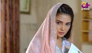 Dilnawaz Aplus Tv Drama Cast Picture 04