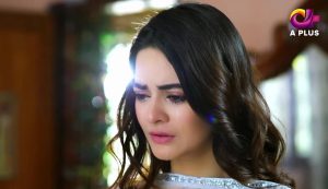 Dilnawaz Aplus Tv Drama Cast Picture 05