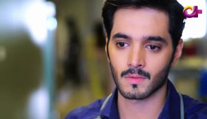 Dilnawaz Aplus Tv Drama Cast Picture 06